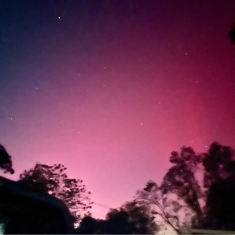 Meet your Posher, Aryn